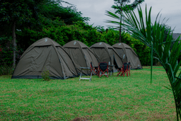 Tents at Manyara Campsite