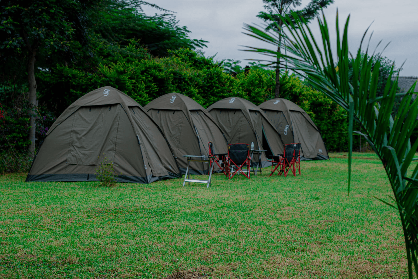 Tents and green grounds at Manyara Campsite
